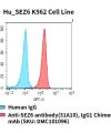 fc-cel100037 hu sez6 k562 cell line flow