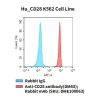 fc-cel100041 hu cd28 k562 cell line flow