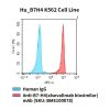 fc-cel100042 hu b7h4 k562 cell line flow
