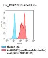 fc-cel100044 hu ror2 cho s cell line flow