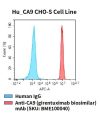 fc-cel100045 hu ca9 cho s cell line flow