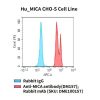 fc-cel100046 hu mica cho s cell line flow