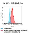 fc-cel100052 hu cd74 cho s cell line flow