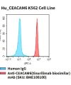 fc-cel100058 hu ceacam6 k562 cell line flow