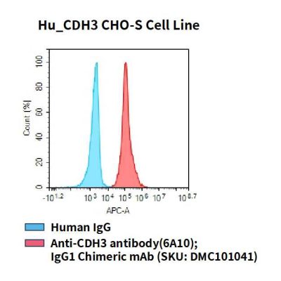 fc-cel100060 hu cdh3 cho s cell line flow