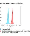 fc-cel100061 hu gpnmb cho s cell line flow