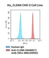 fc-cel100066 hu cldn6 cho s cell line flow