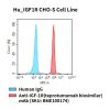 fc-cel100068 hu igf1r cho s cell line flow