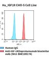 fc-cel100068 hu igf1r cho s cell line flow