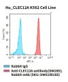 fc-cel100070 hu clec12a k562 cell line flow