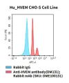 fc-cel100071 hu hvem cho s cell line flow