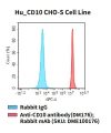 fc-cel100072 hu cd10 cho s cell line flow