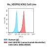 fc-cel100074 hu vegfr2 k562 cell line flow