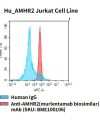 fc-cel100076 hu amhr2 jurkat cell line flow