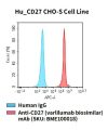 fc-cel100081 hu cd27 cho s cell line flow