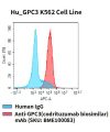 fc-cel100084 hu gpc3 k562 cell line flow