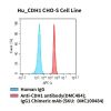 fc-cel100089 hu cdh1 cho s cell line flow