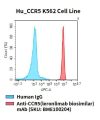 fc-cel100090 hu ccr5 k562 cell line flow