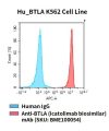 fc-cel100091 hu btla k562 cell line flow