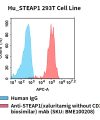 fc-cel100107 hu steap1 293t cell line flow