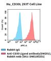 fc-cel100108 hu cd30l 293t cell line flow