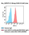 fc-cel100110 hu gpr75 c strep cho s cell line flow