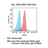fc-cel100113 hu taci 293t cell line flow