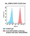 fc-cel100115 hu sirpa cho s cell line flow