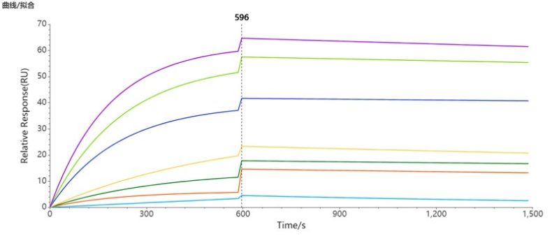 SPR-FLP100014 CLDN18.2 Fig.3 SPR 1