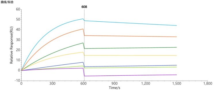SPR-FLP100037 CCR8 Fig.3 SPR 1