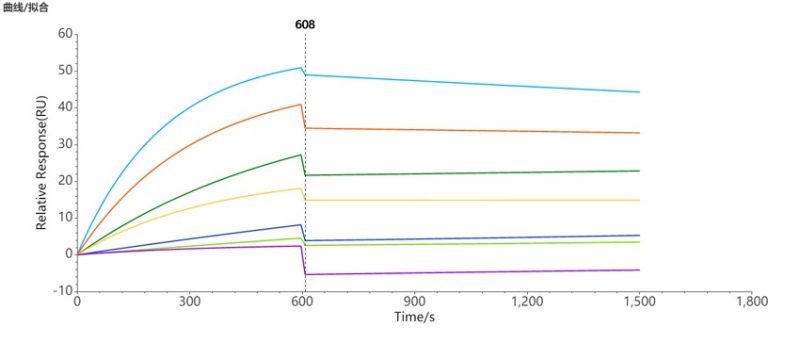 SPR-FLP100037 CCR8 Fig.3 SPR 1