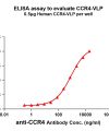 elisa-FLP100015 CCR4 Fig.1 Elisa 1