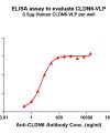 elisa-FLP100038 CLDN6 Fig.1 Elisa 1