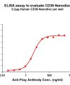 elisa-FLP100044 CD36 Fig.1 Elisa 1