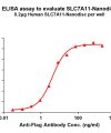 elisa-FLP100048 SLC7A11 Fig.1 Elisa 1