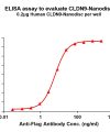 elisa-FLP100081 CLDN9 Fig.1 Elisa 1