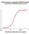 elisa-FLP100108 GPR20 Fig.1 Elisa 1