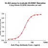 elisa-FLP100112 SCARB1 Fig.1 Elisa 1