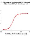 elisa-FLP100126 CMKLR1 Fig.1 Elisa 1