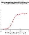 elisa-FLP100131 NTSR1 Fig.1 Elisa 1