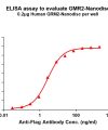 elisa-FLP100135 GRM2 Fig.1 Elisa 1