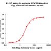 elisa-flp100370 npy1r elisa1