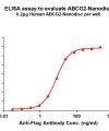 elisa-flp100497 abcg2 elisa1