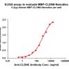 elisa-flp110008 mbp cldn6 elisa1