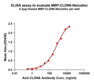 elisa-flp110008 mbp cldn6 elisa1