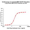 elisa-flp110098 mbp agtr1 elisa1