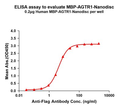 elisa-flp110098 mbp agtr1 elisa1