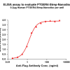 elisa-flp120097 ptger4 strep elisa1