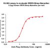 elisa-flp120233 drd5 strep elisa1