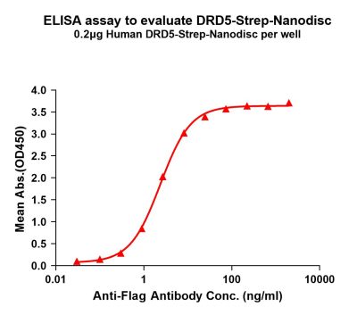 elisa-flp120233 drd5 strep elisa1